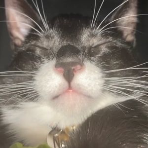 Meet your Posher, Jill